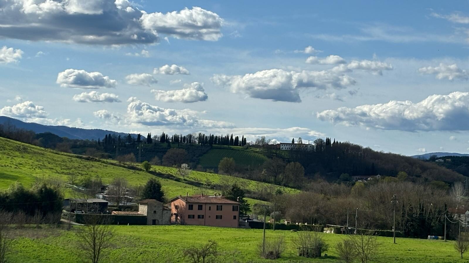 7b426566-498d-4b7c-8229-9561c12e3946